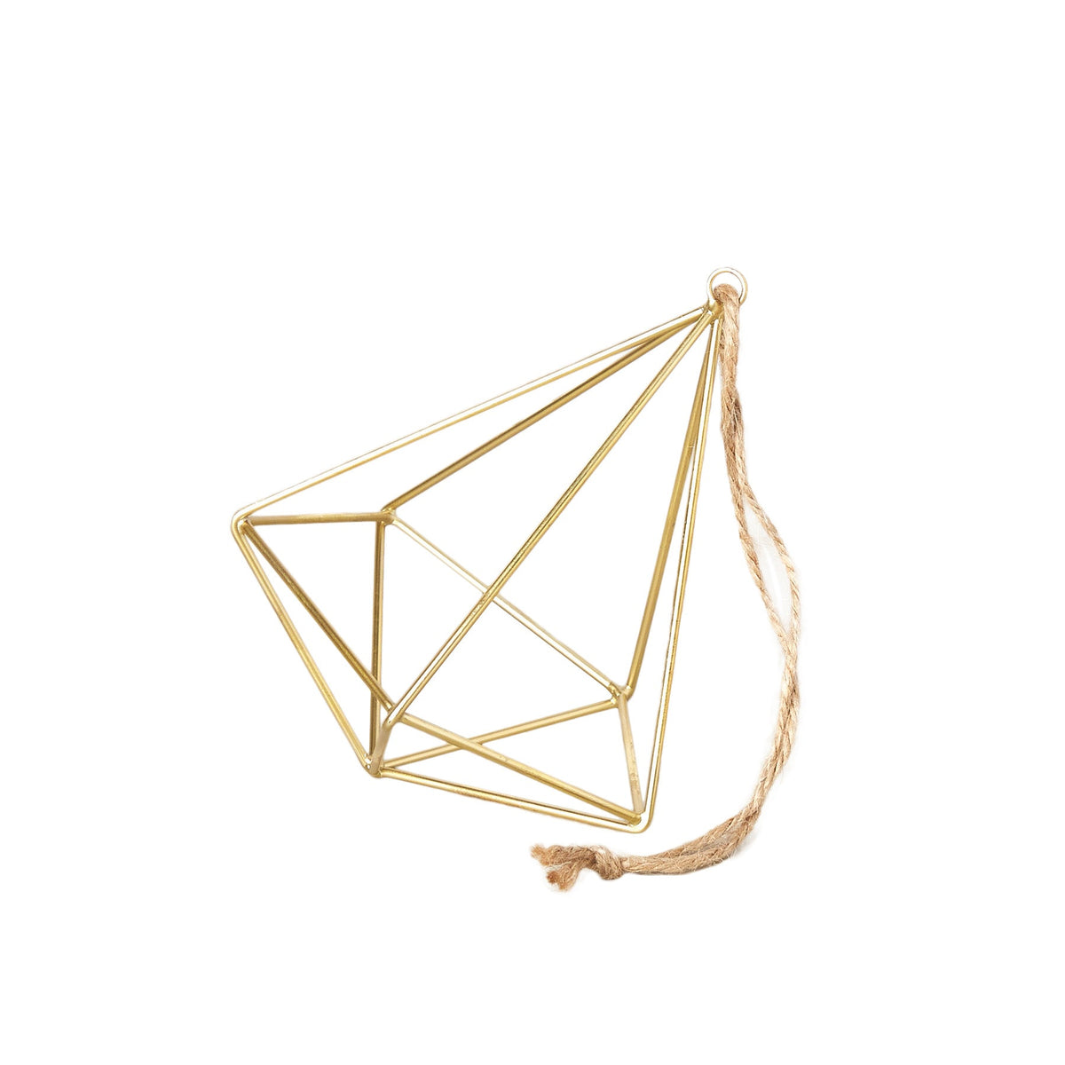 Air Plant Display Hanger