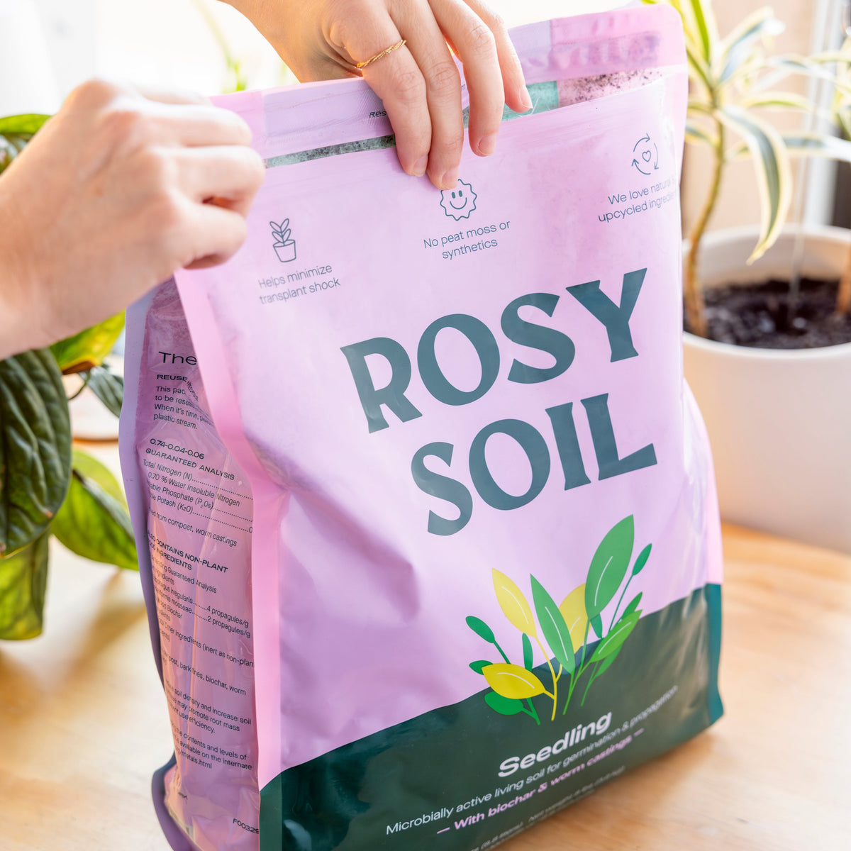 Seedling Soil