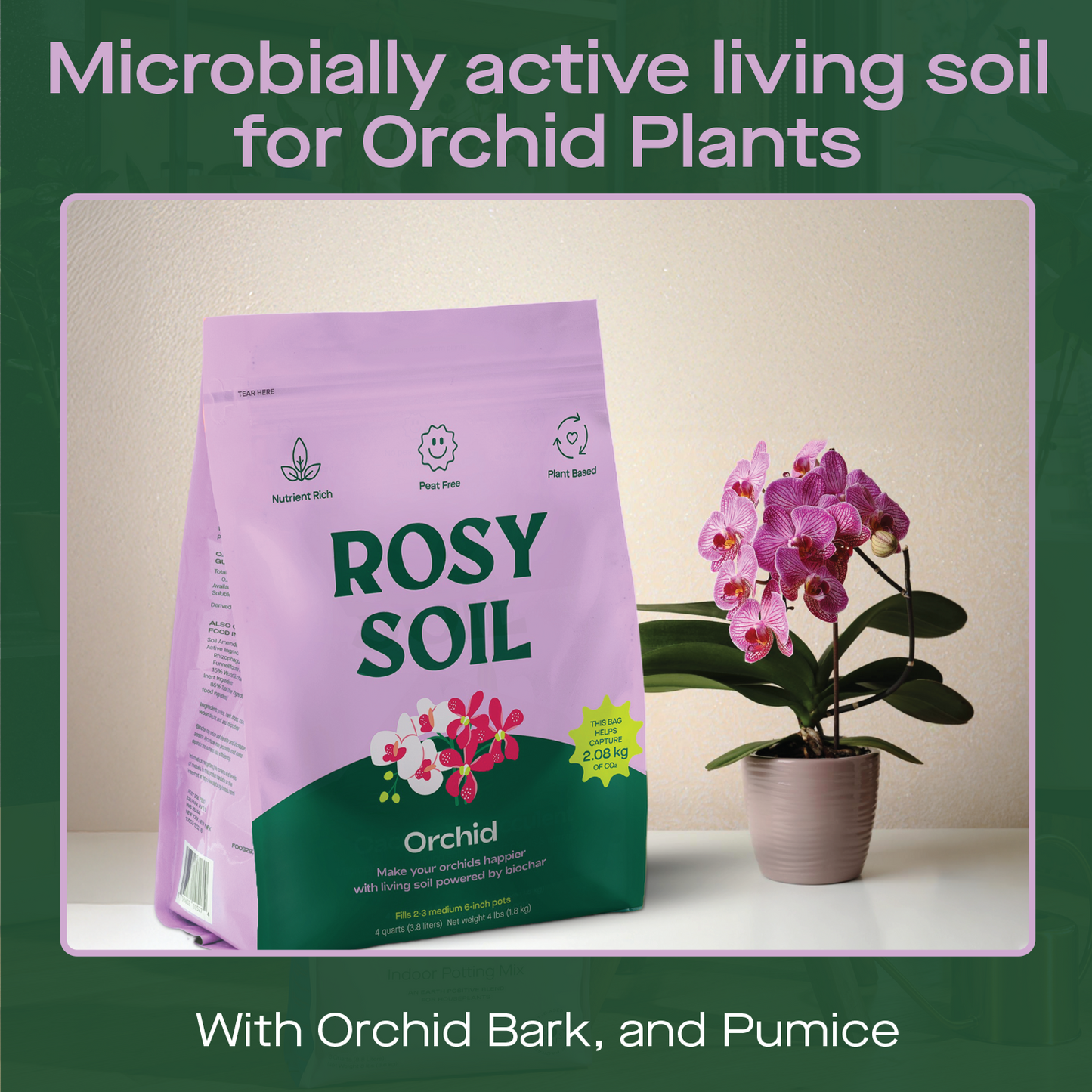 Orchid Mix
