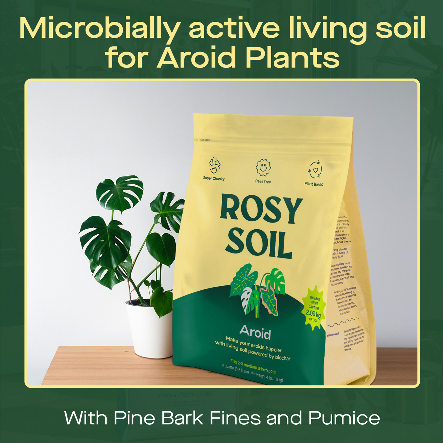 Aroid Soil