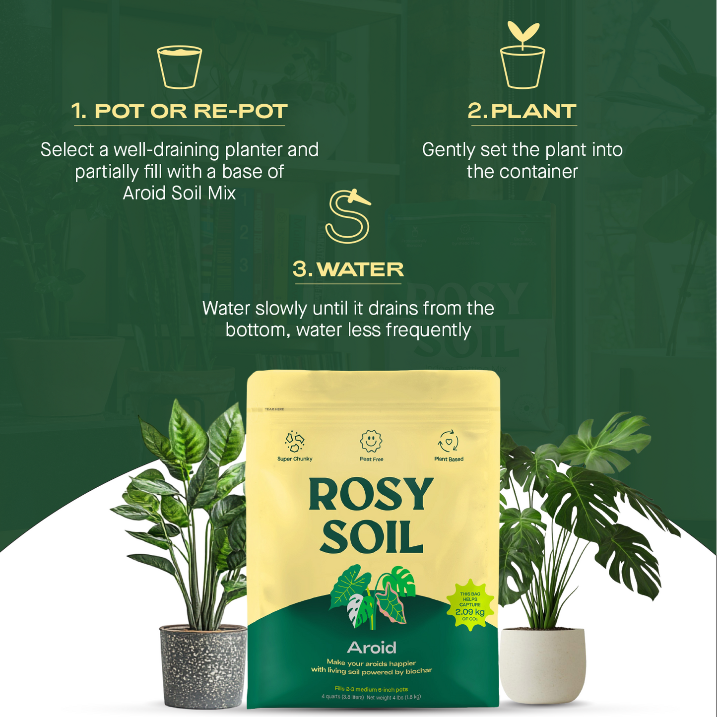 Aroid Soil