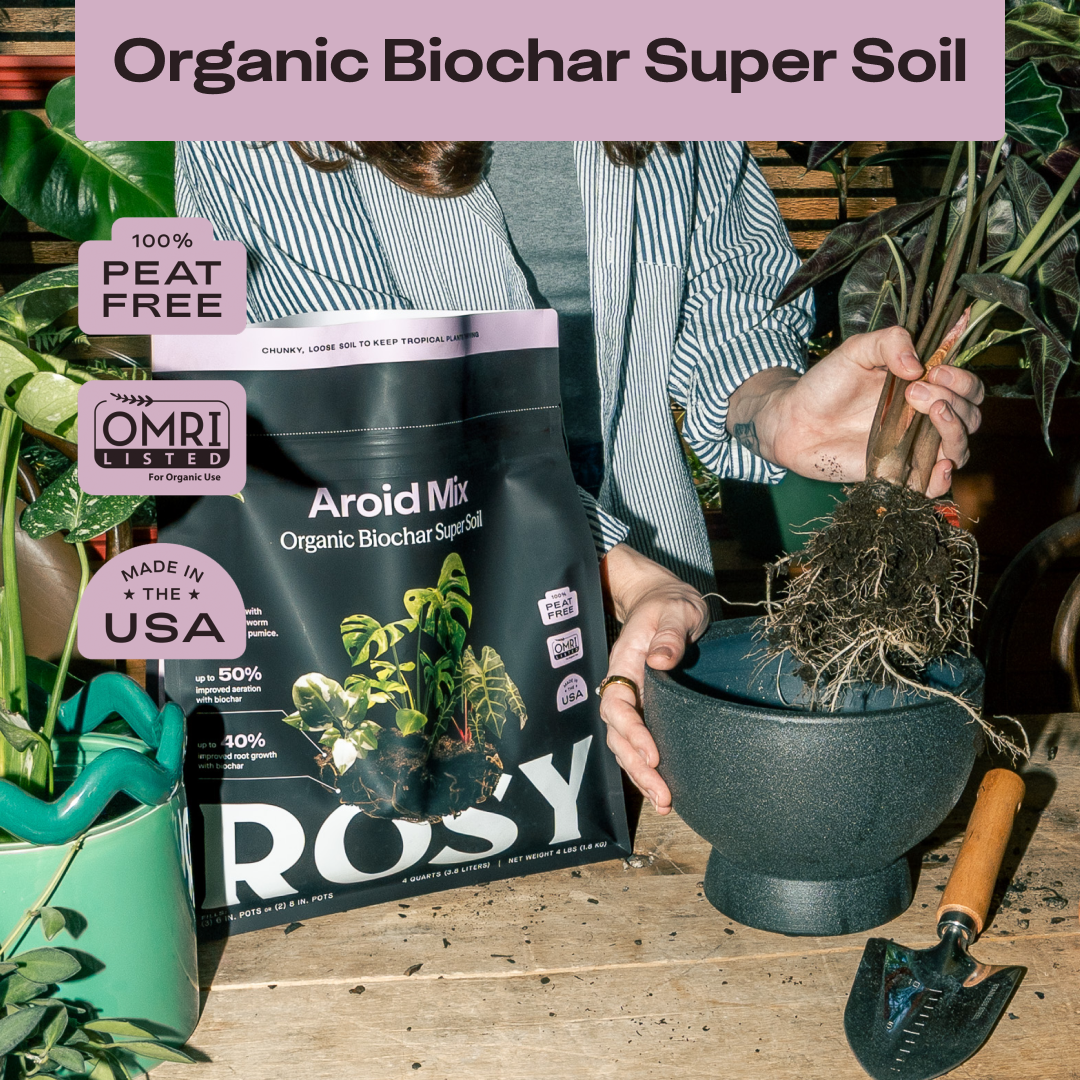 Aroid Soil