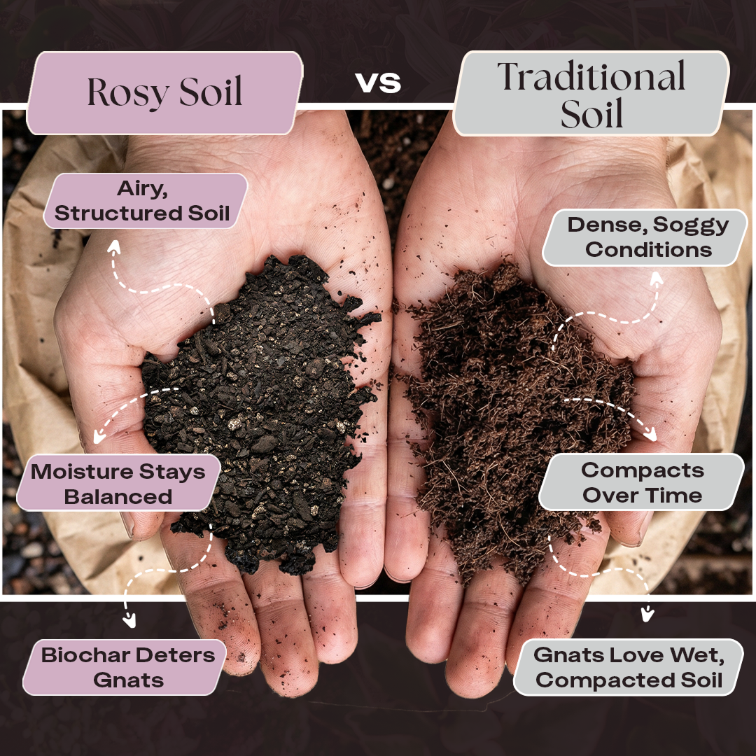 Aroid Soil