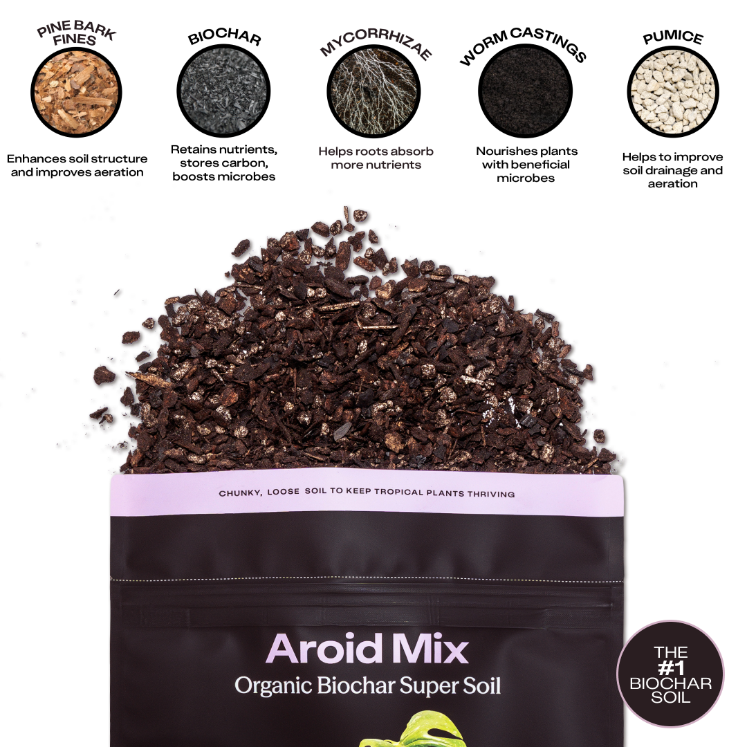 Aroid Soil