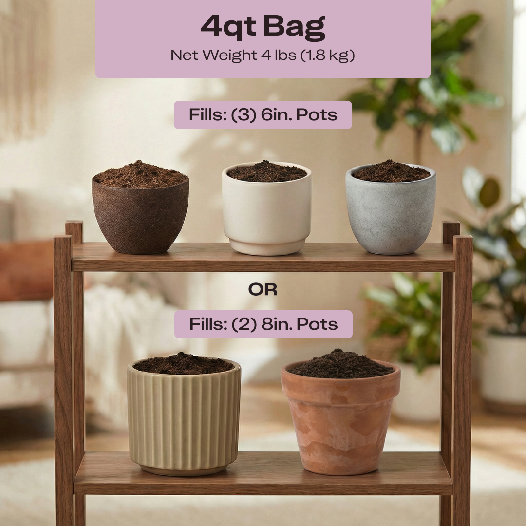 Aroid Soil