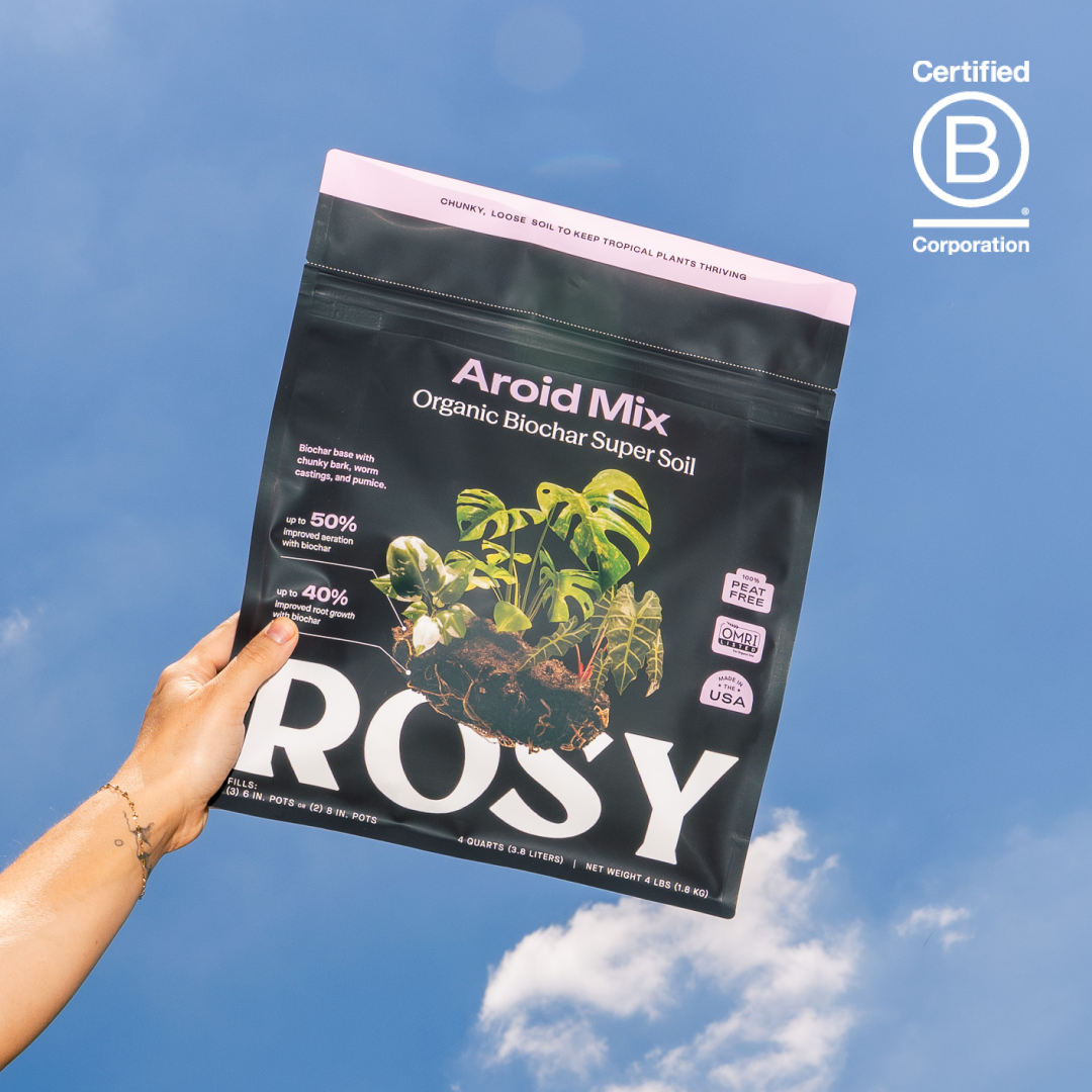 Aroid Soil