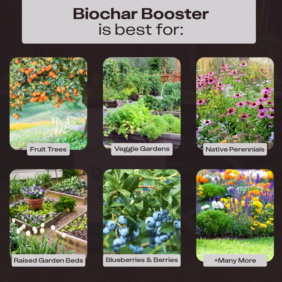 Biochar Booster