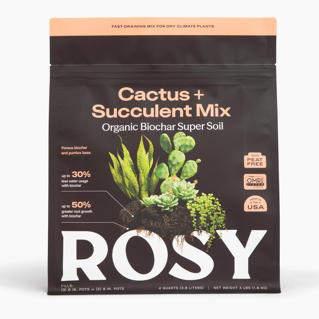Cactus & Succulent Soil
