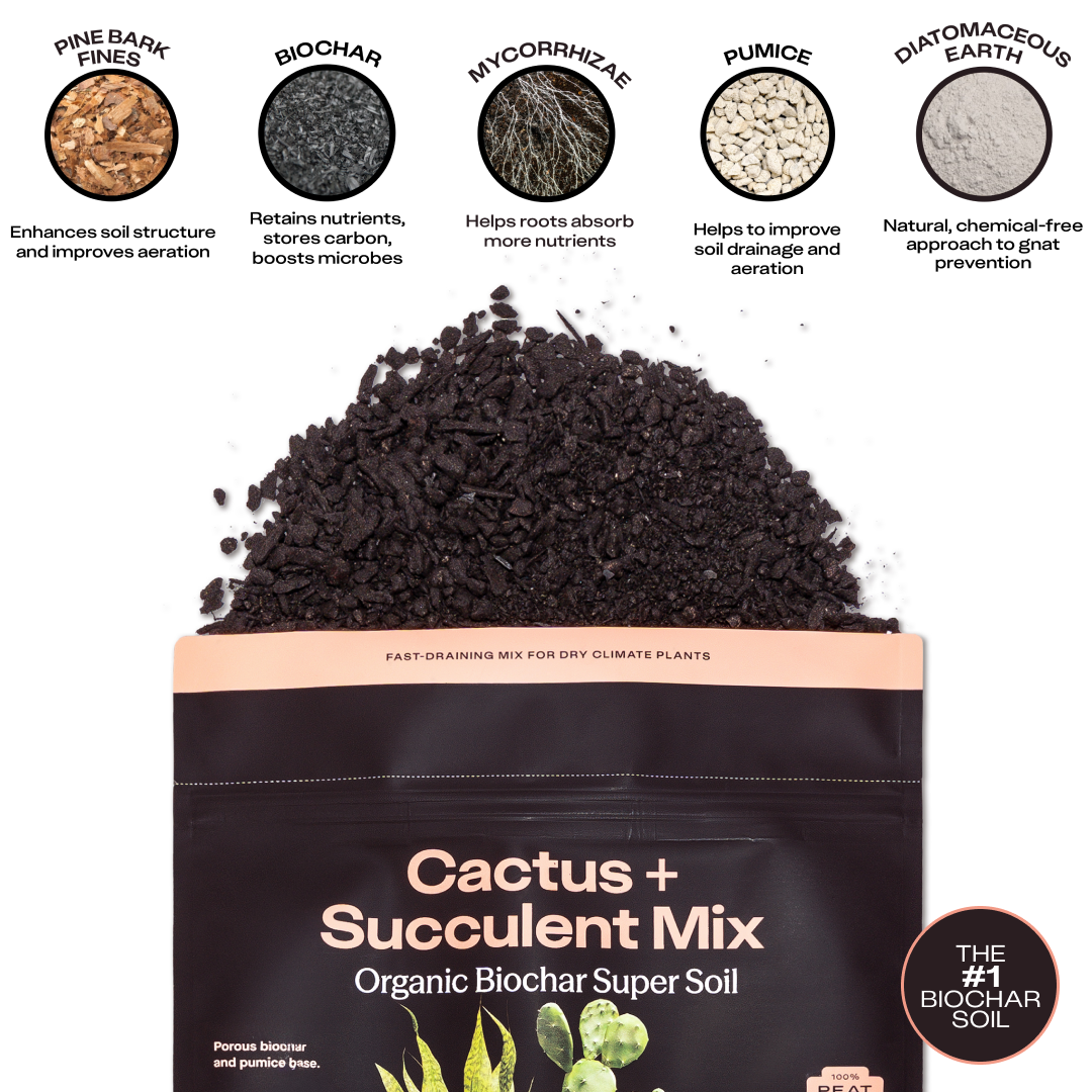 Cactus & Succulent Soil