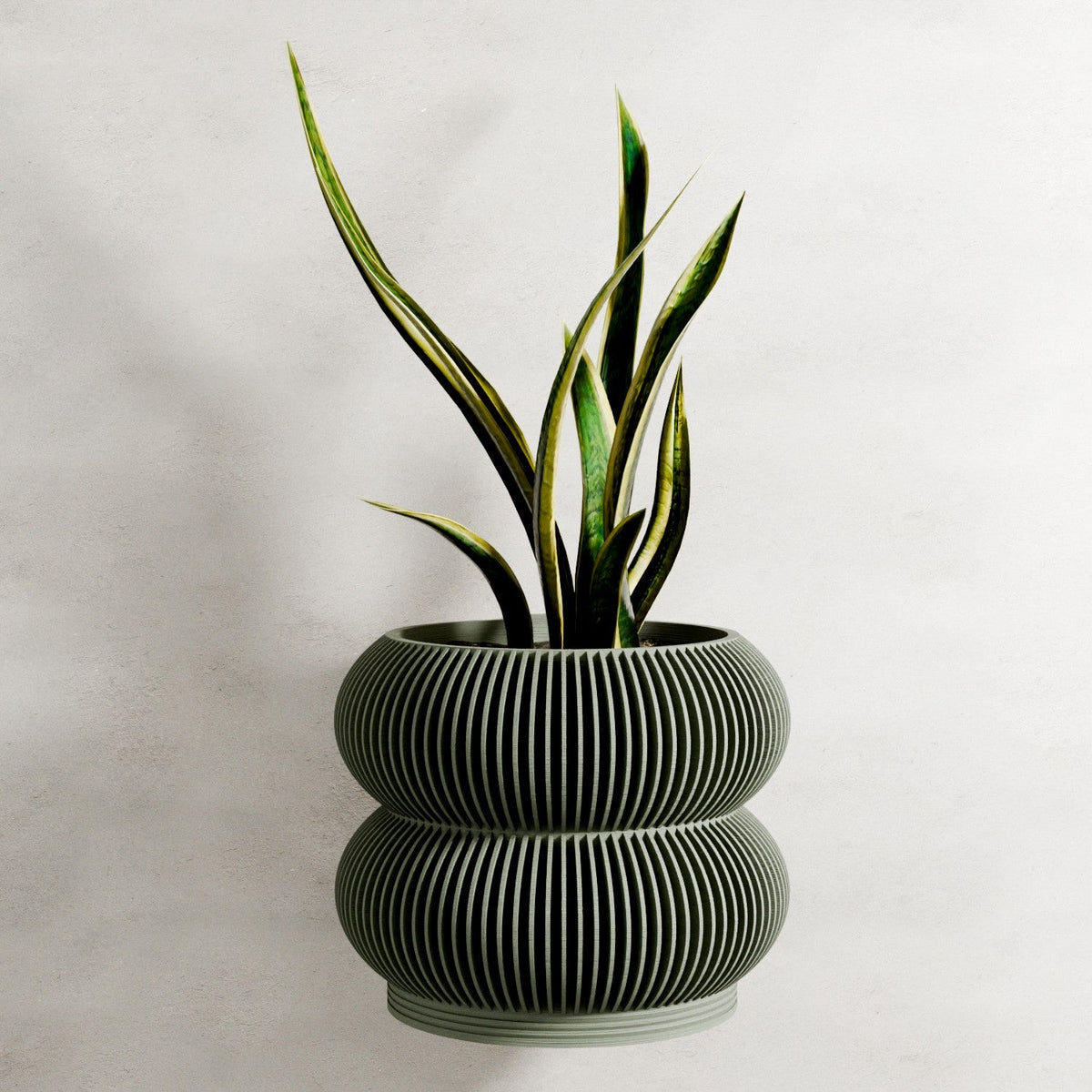 Wall Planter - Double BUBBLES