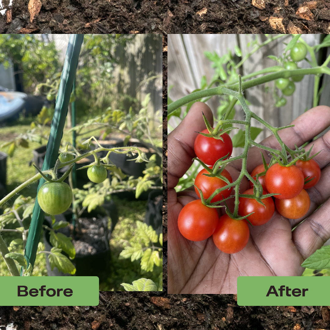 Garden Mix