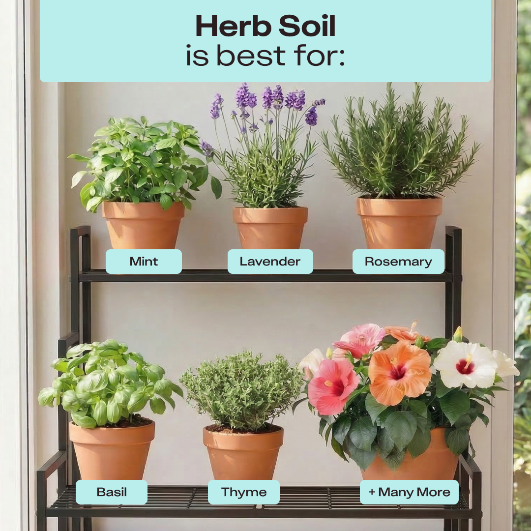 Herb Soil