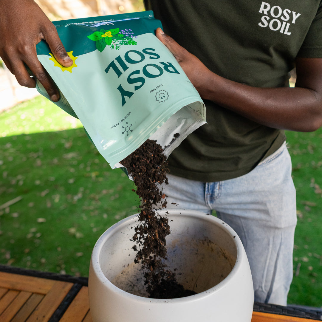 Herb Soil