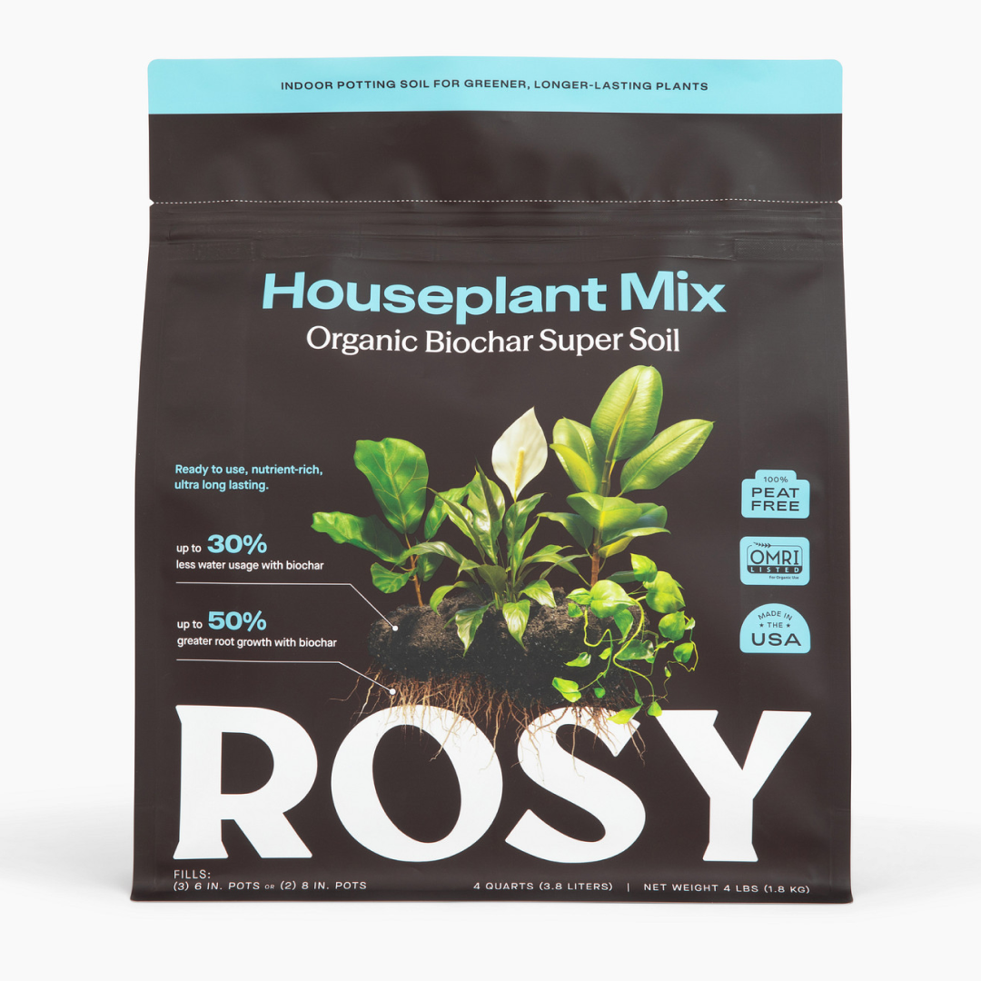 Houseplant Soil