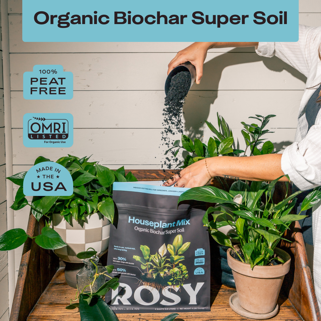 Houseplant Soil