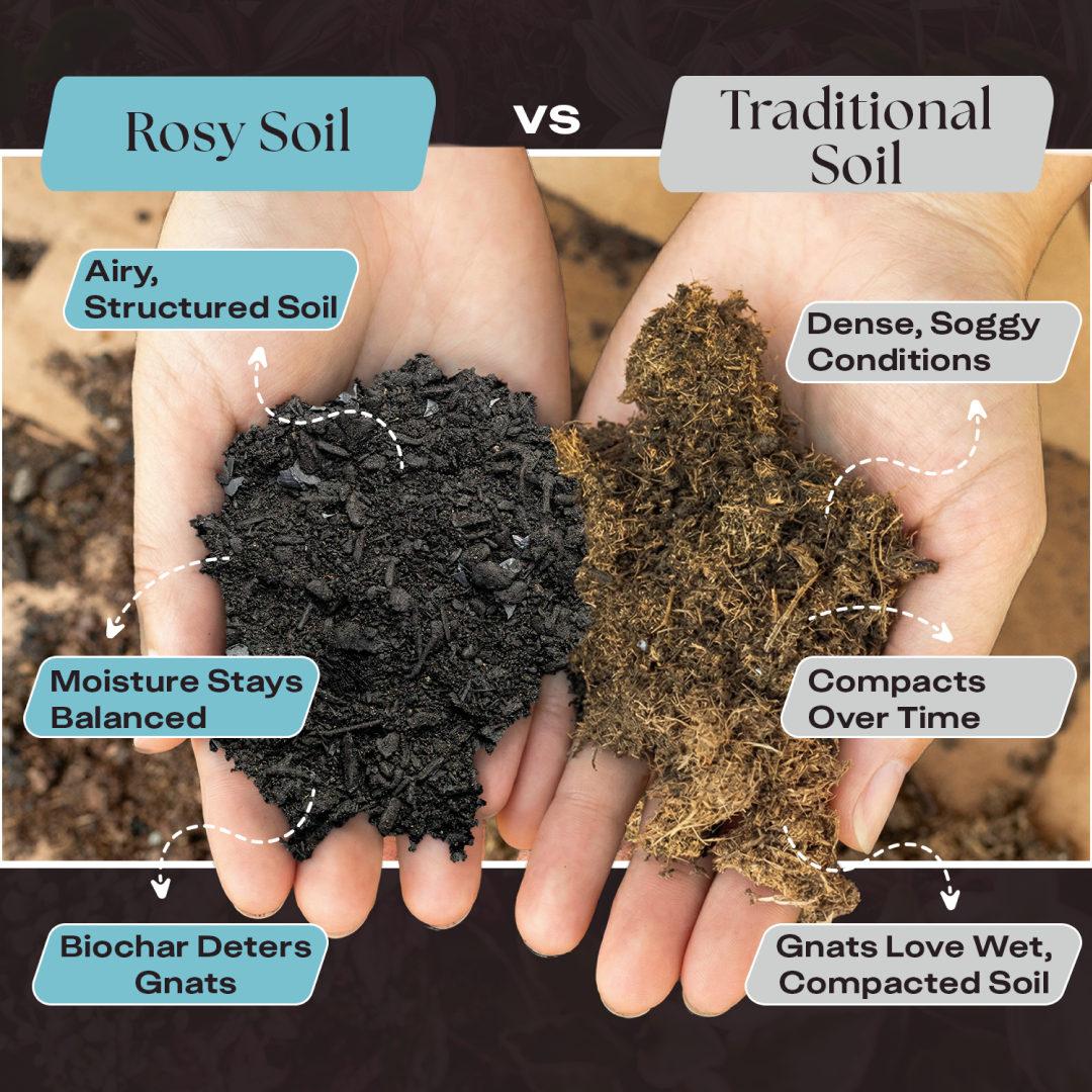 Houseplant Soil