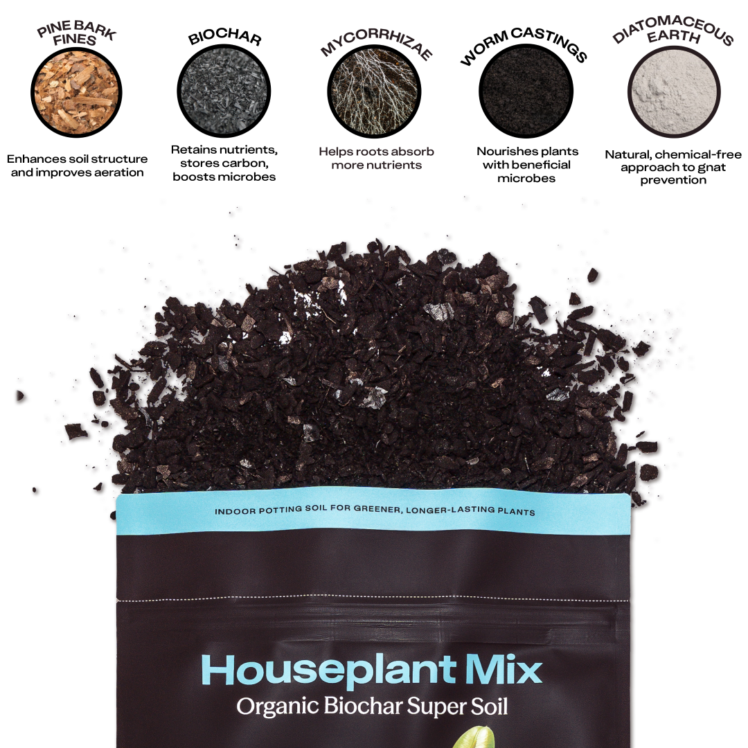 Houseplant Soil