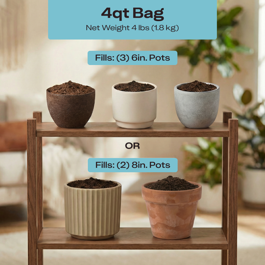 Houseplant Soil