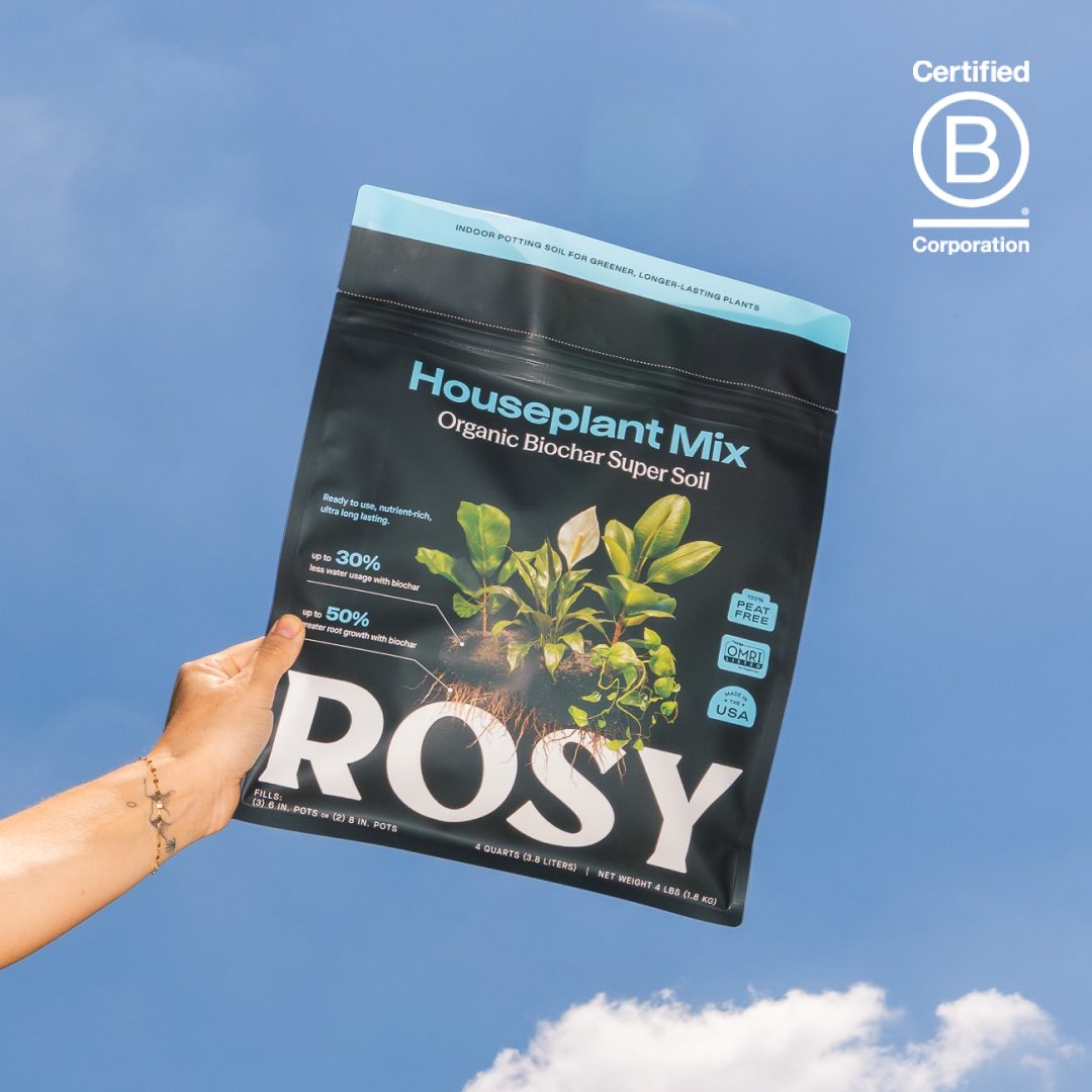 Houseplant Soil