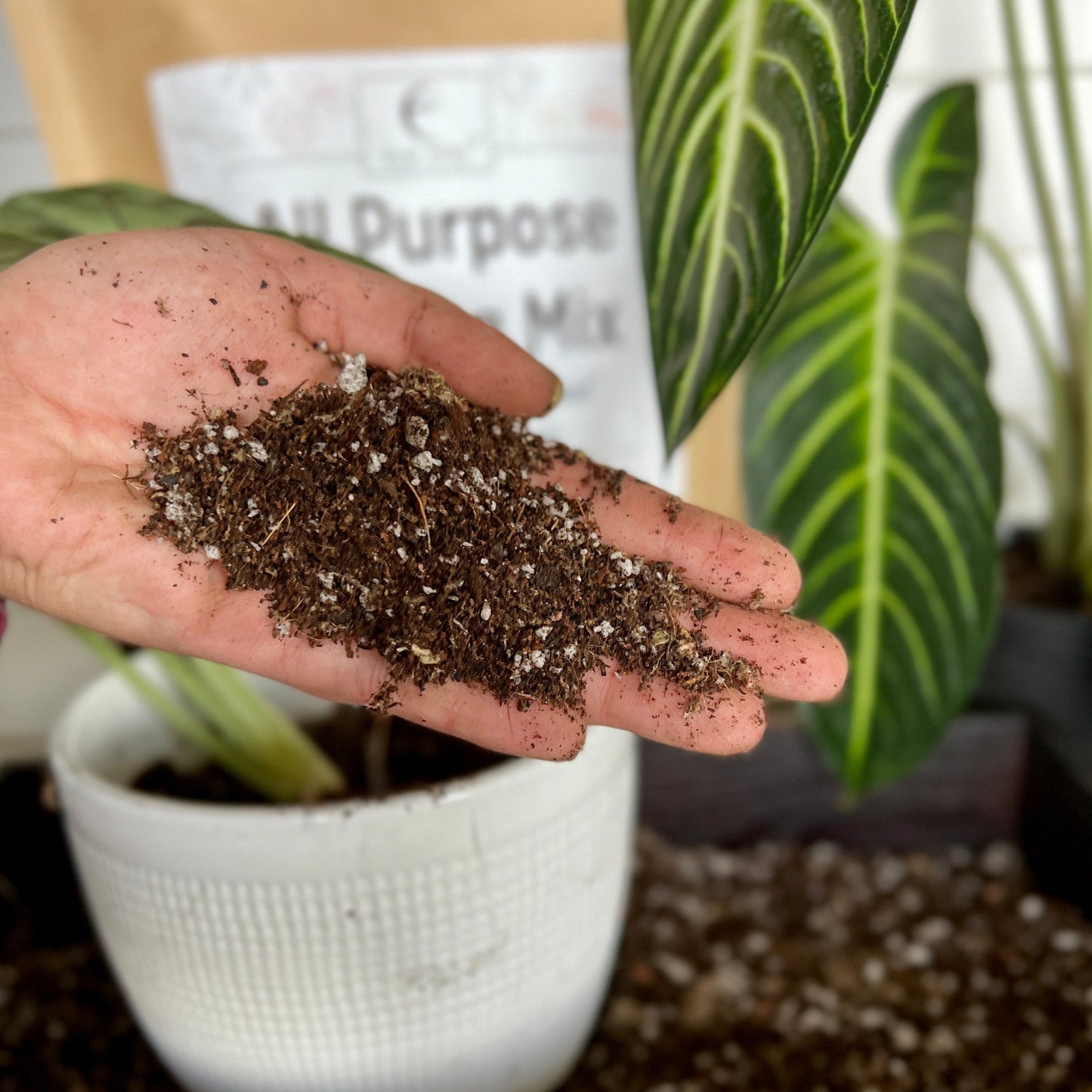 All-Purpose soil mix