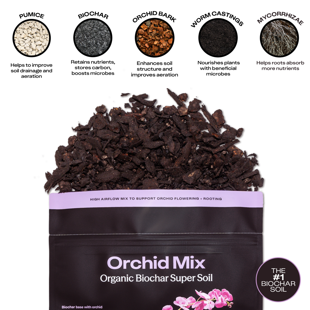 Orchid Mix