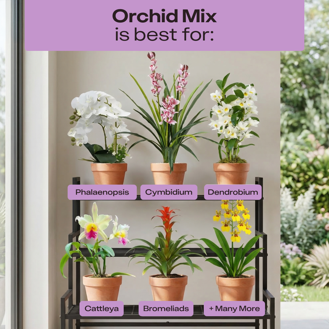 Orchid Mix