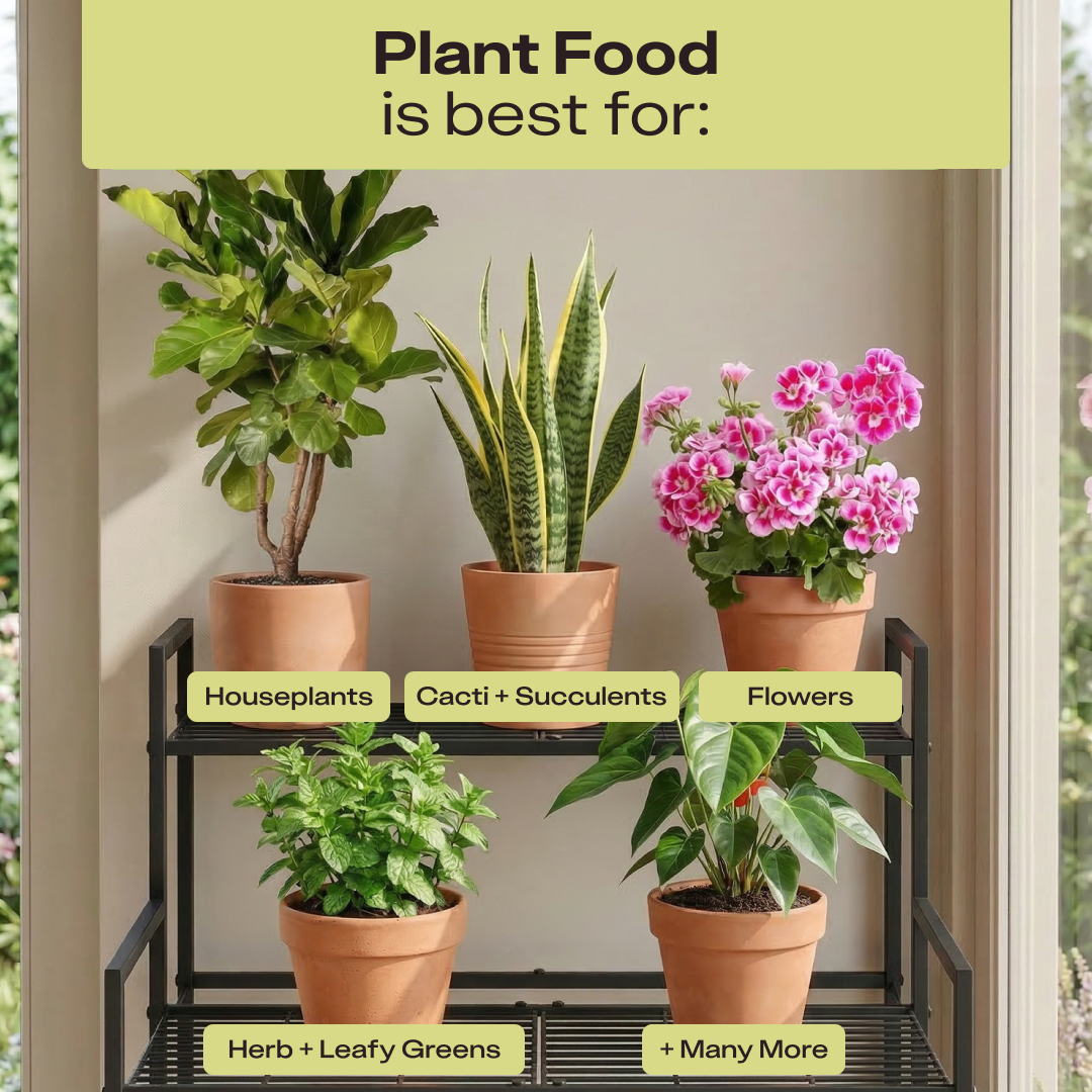 Plant Food