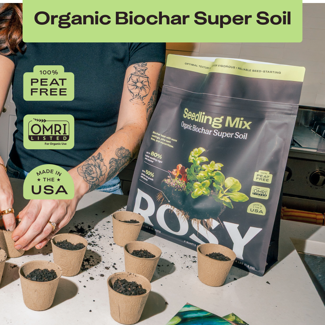 Seedling Soil