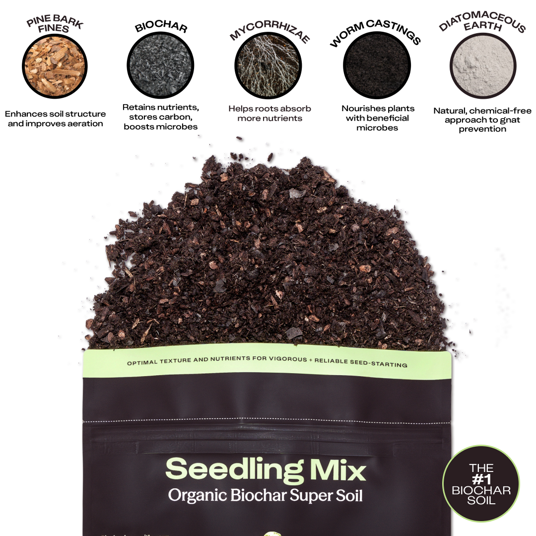 Seedling Soil