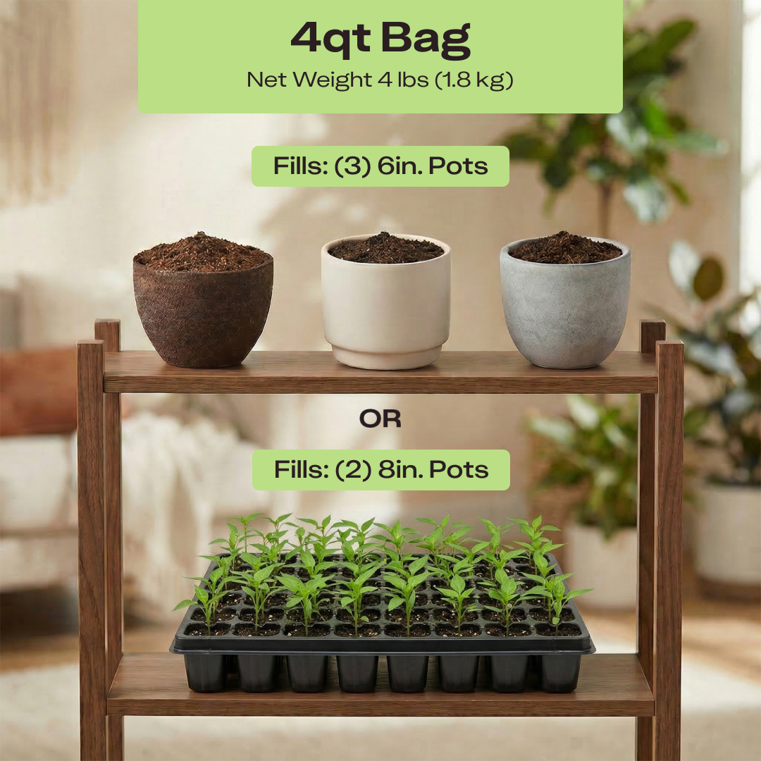 Seedling Soil