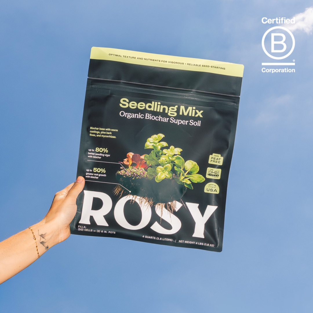 Seedling Soil