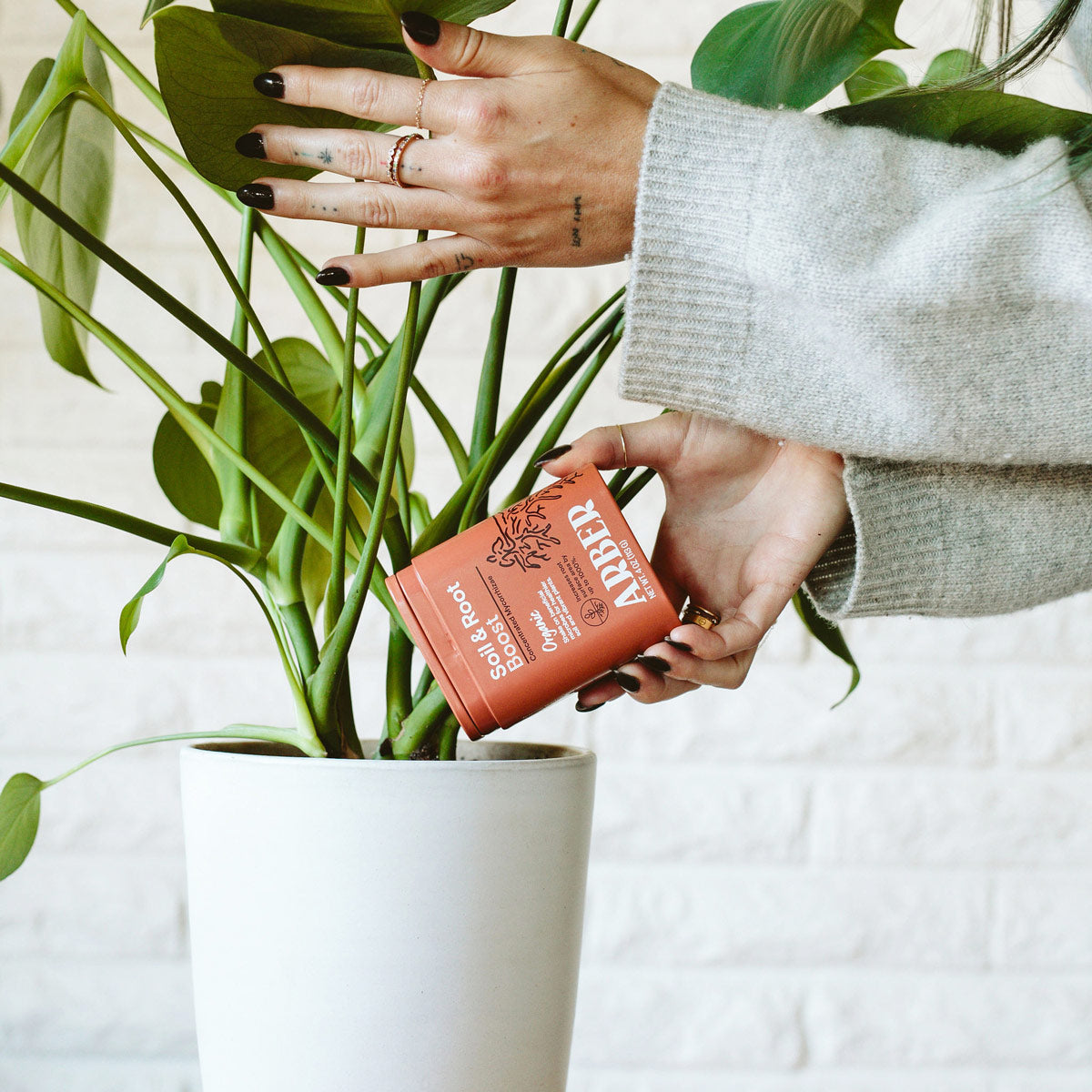 Organic Soil & Root Boost