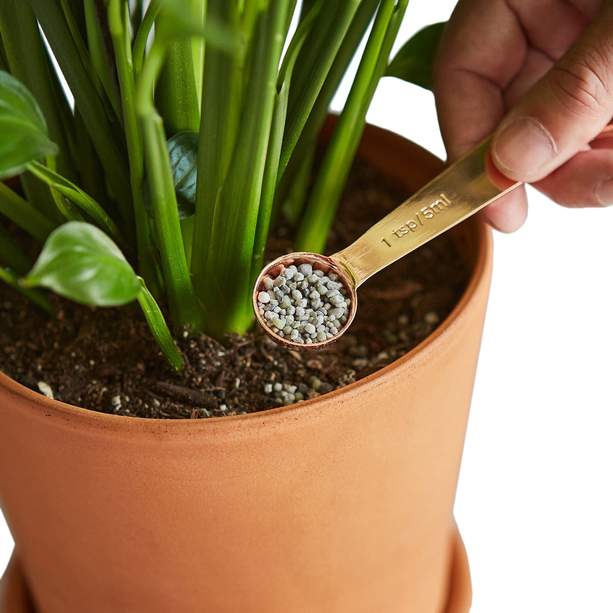 Pellet Fertilizer/Indoor House Plant Food