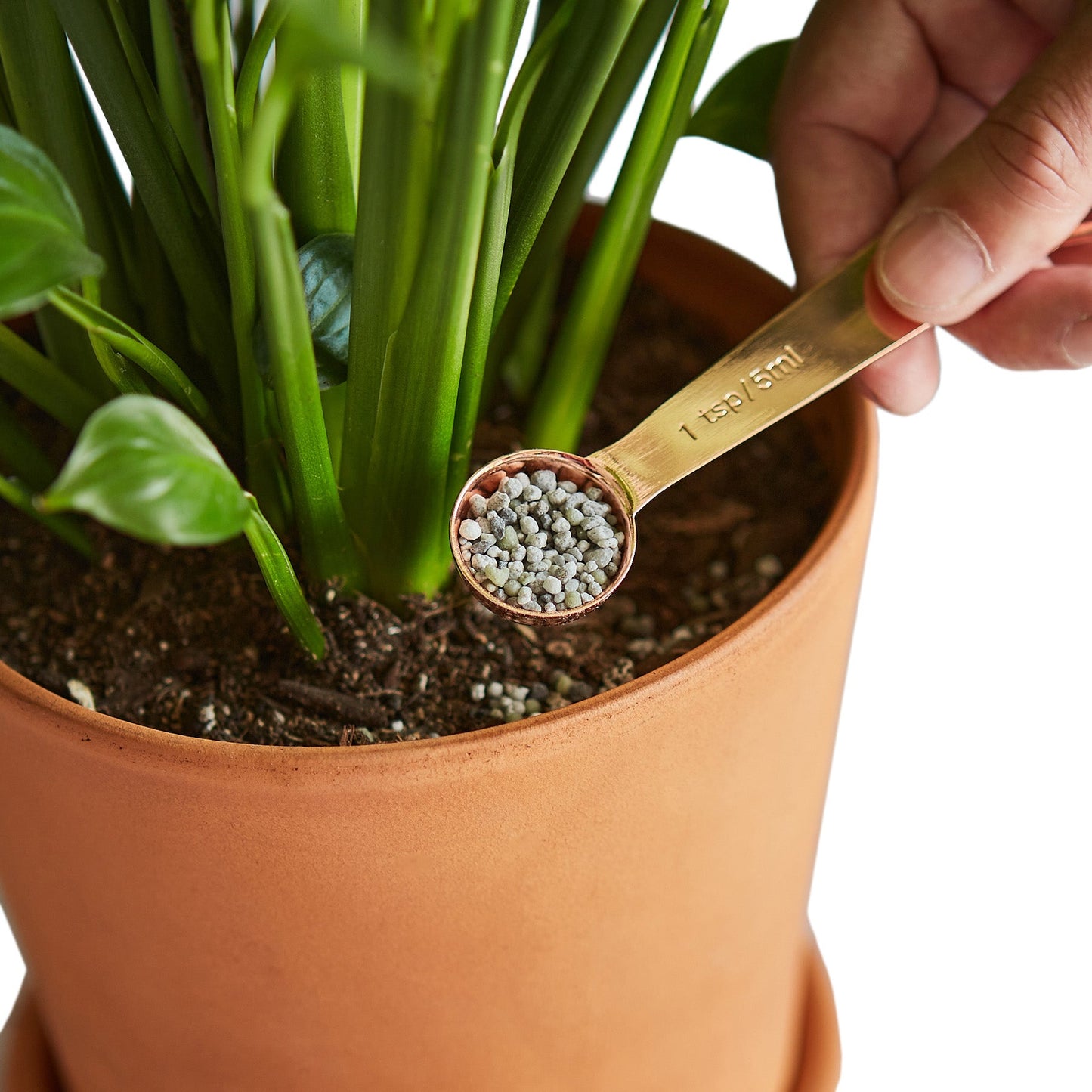 Pellet Fertilizer/Indoor House Plant Food