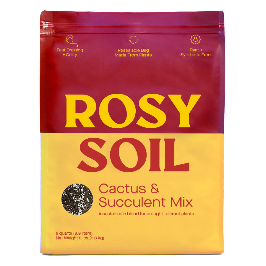 Cactus & Succulent Potting Soil